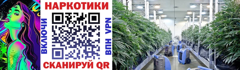 Купить закладку Марихуана  COCAIN  АМФ  Меф  МДМА  ГАШИШ  Берёзовка