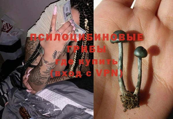 дживик Карпинск