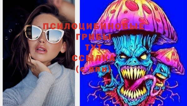 дживик Карпинск